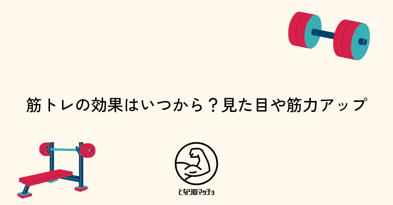 筋トレの効果はいつから?見た目や筋力アップ