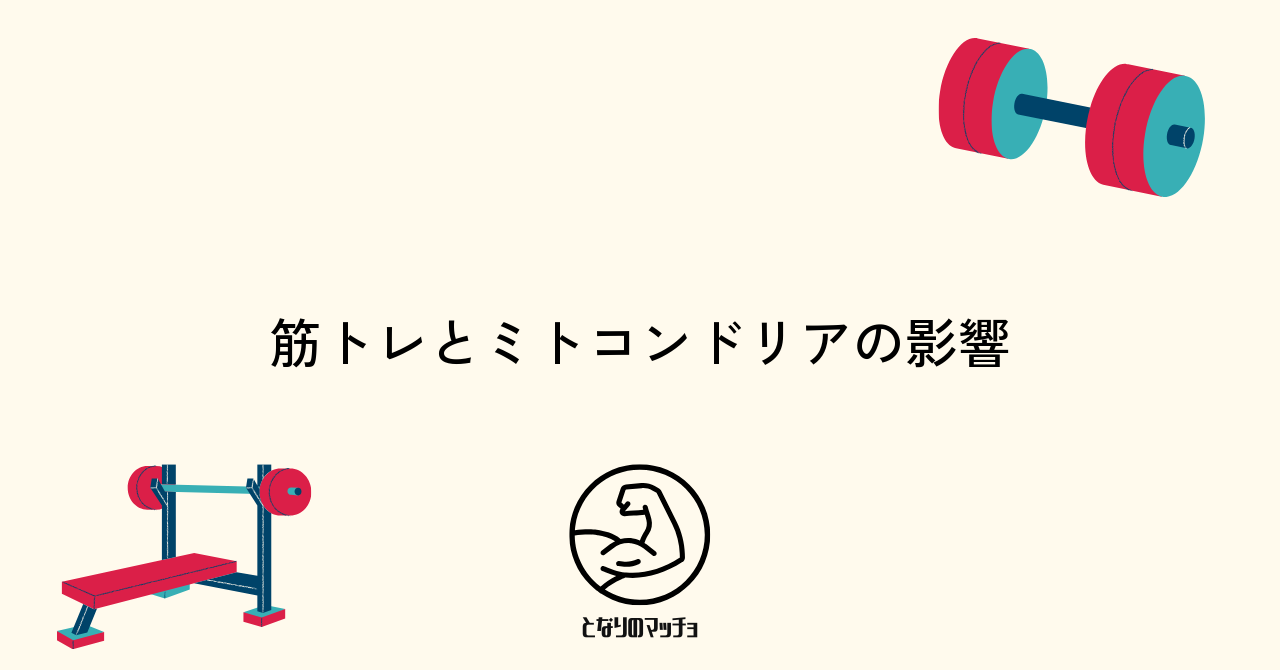 筋トレがミトコンドリアに与える影響とその重要性